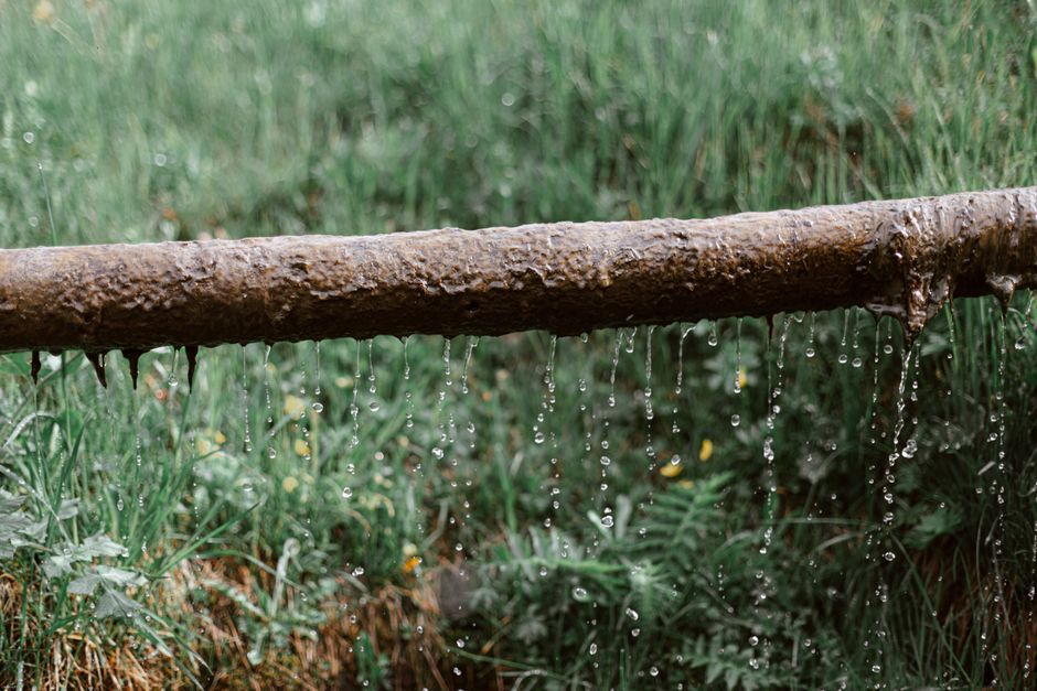 Leak Detection — Photo by eberhard grossgasteiger on Pexels